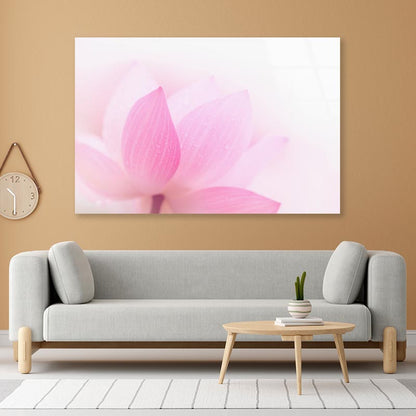 Closeup On Lotus Petal Acrylic Glass Print Tempered Glass Wall Art 100% Made in Australia Ready to Hang