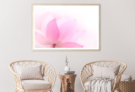 Closeup On Lotus Petal Home Decor Premium Quality Poster Print Choose Your Sizes