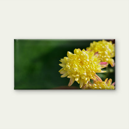 Vibrant Yellow Flowers In Sun Wall Art Canvas Office Home Room Framed 120x60cm