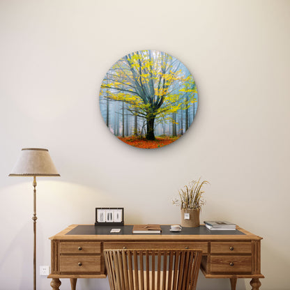 Green Tree Autumn Dark Forest Acrylic Glass Rounded Print Tempered Glass Wall Art 100% Made in Australia Ready to Hang