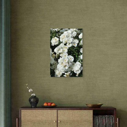 Elegant Blooming White Rose Bush 40x60cm Metal Print Ready to Hang