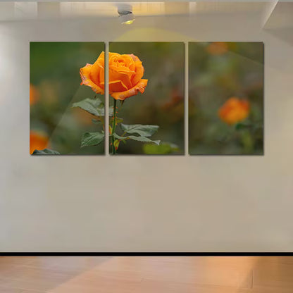 3pcs Vibrant Orange Roses in Full Bloom Wall Art Set Canvas Framed 40x60cm - High Quality Print 100% Australian Made Wall Canvas Ready to Hang