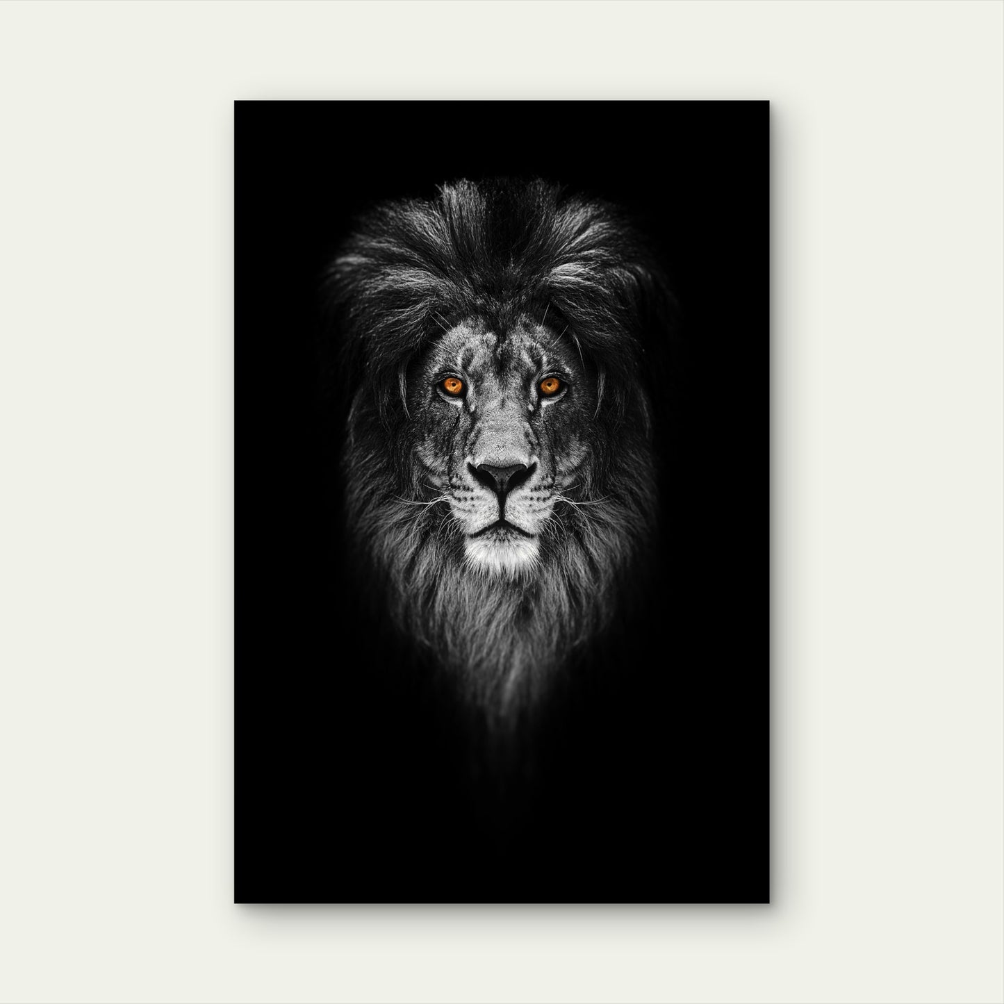 Majestic Male Lion Face Dark Mane Predator 40x60cm Metal Print Ready to Hang