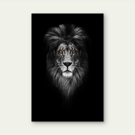 Majestic Male Lion Face Dark Mane Predator 40x60cm Metal Print Ready to Hang
