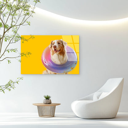 Aussie Shepherd Dog Pool Float Ring  Acrylic Glass Printing Wall Art Australian Made Quality