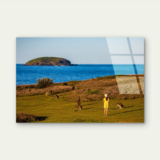Coffs Harbour Kangaroo Ocean Headland Acrylic Glass Printing Wall Art Australian Made Quality