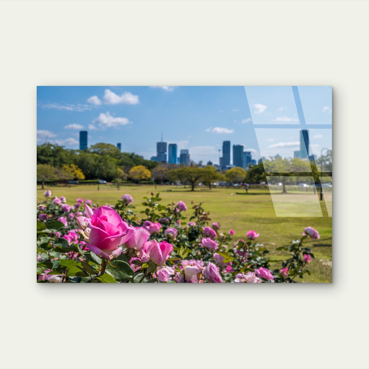 Brisbane New Farm Park Pink Rose Skyline Acrylic Glass Printing Wall Art Australian Made Quality