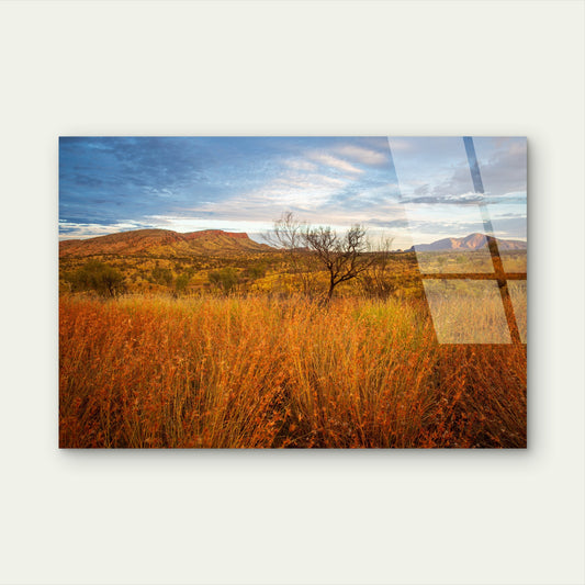MacDonnell Ranges Desert Bush Grass Acrylic Glass Printing Wall Art Australian Made Quality