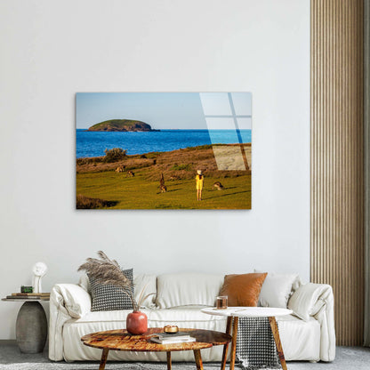 Coffs Harbour Kangaroo Ocean Headland Acrylic   Glass Printing Wall Art Australian Made Quality