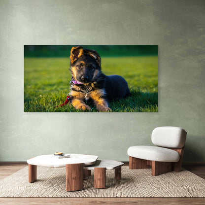 German Shepherd Puppy Dog Wall Art Canvas Office Home Room Framed 120x60cm