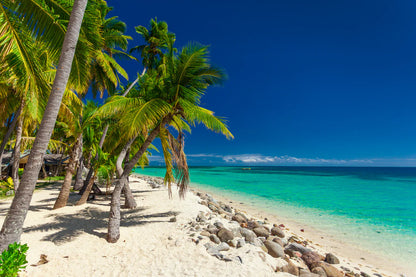 Palm Trees on Beach Sea Scenery 90x60cm Print 100% Australian Made