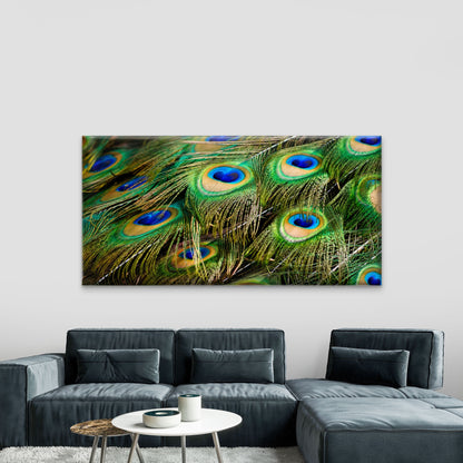 Peacock Feather Close Up Wall Art Canvas Office Home Room Framed 120x60cm