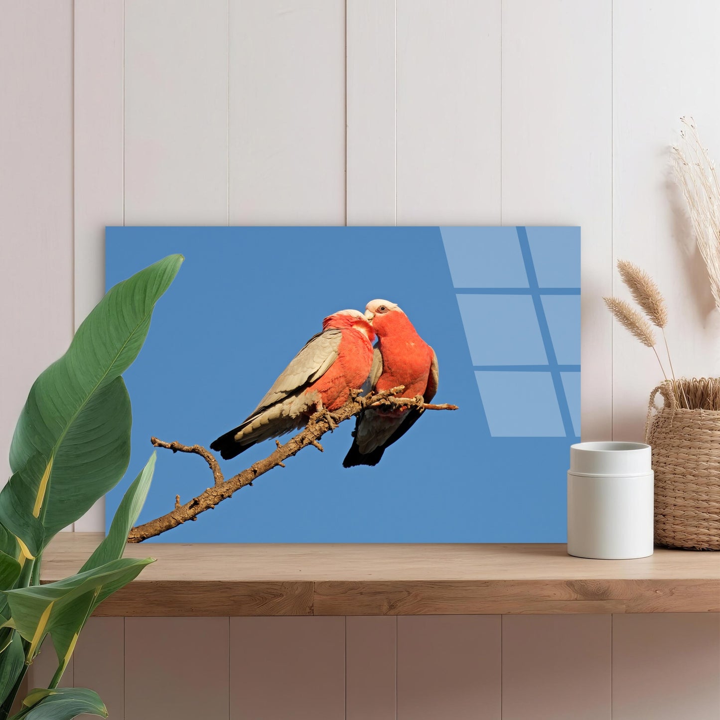 Australian Pink Galah Parrot Branch Acrylic Glass Printing Wall Art Australian Made Quality