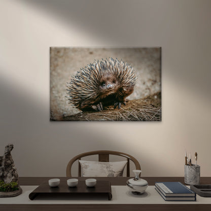 Echidna Australia Wild Bush Wall Art Decor 100% Australian Made