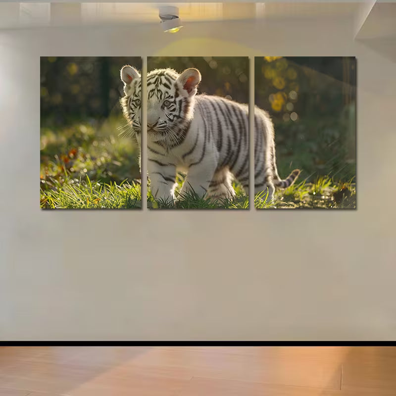 3pcs Cute White Tiger Cub Wall Art Set Canvas Framed 40x60cm - High Quality Print 100% Australian Made Wall Canvas Ready to Hang - Bella Home Decor