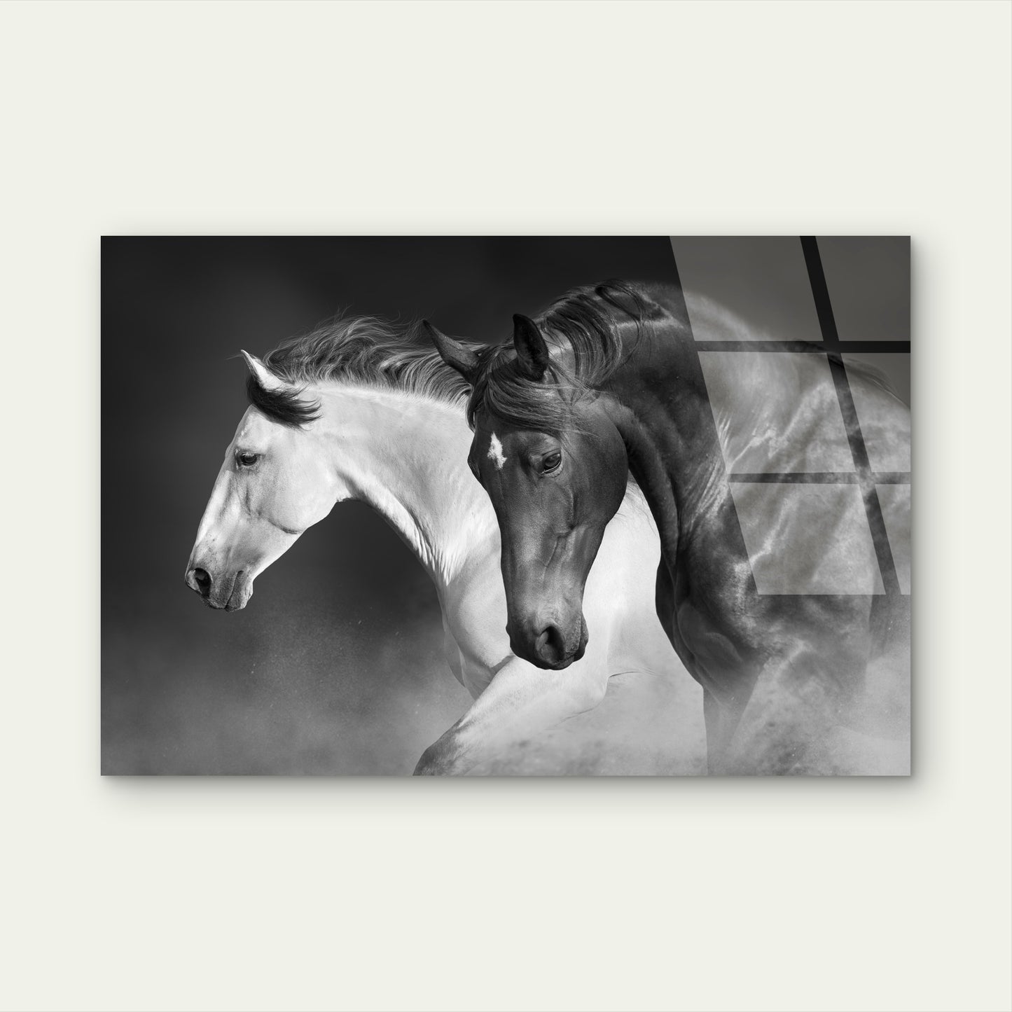 Black And White Wild Running Horse Acrylic Glass Printing Wall Art Australian Made Quality