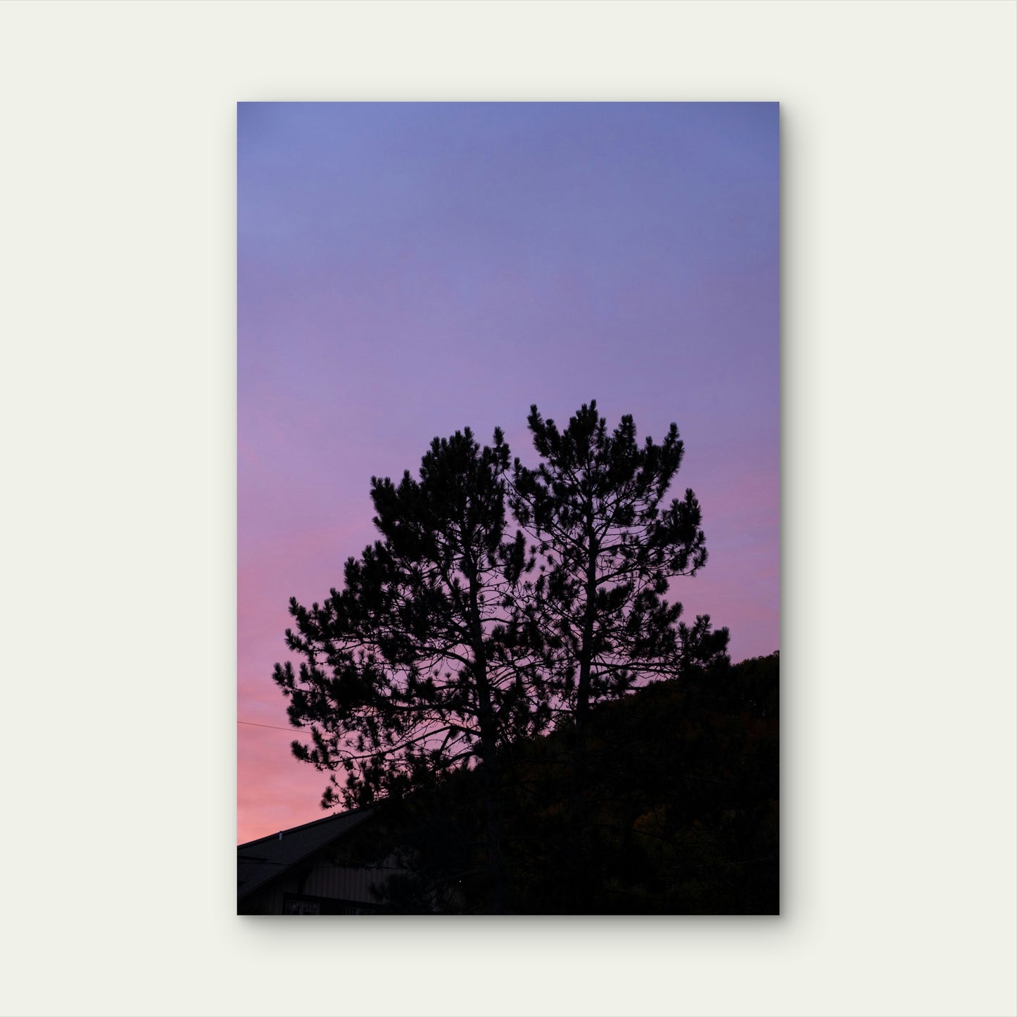 Pine Trees Silhouetted Against A Vibrant Sky 40x60cm Metal Print Ready to Hang