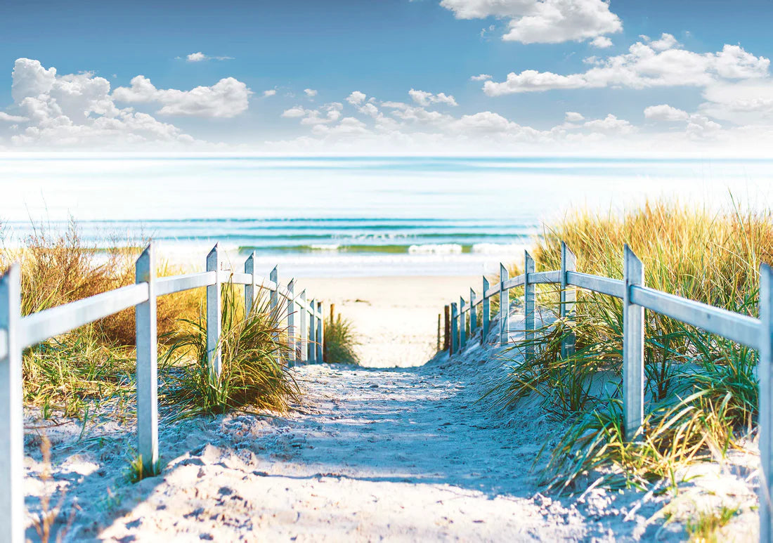 Cloudy Sky & Wooden Path to Sea 90x60cm Print 100% Australian Made - Bella Home Decor