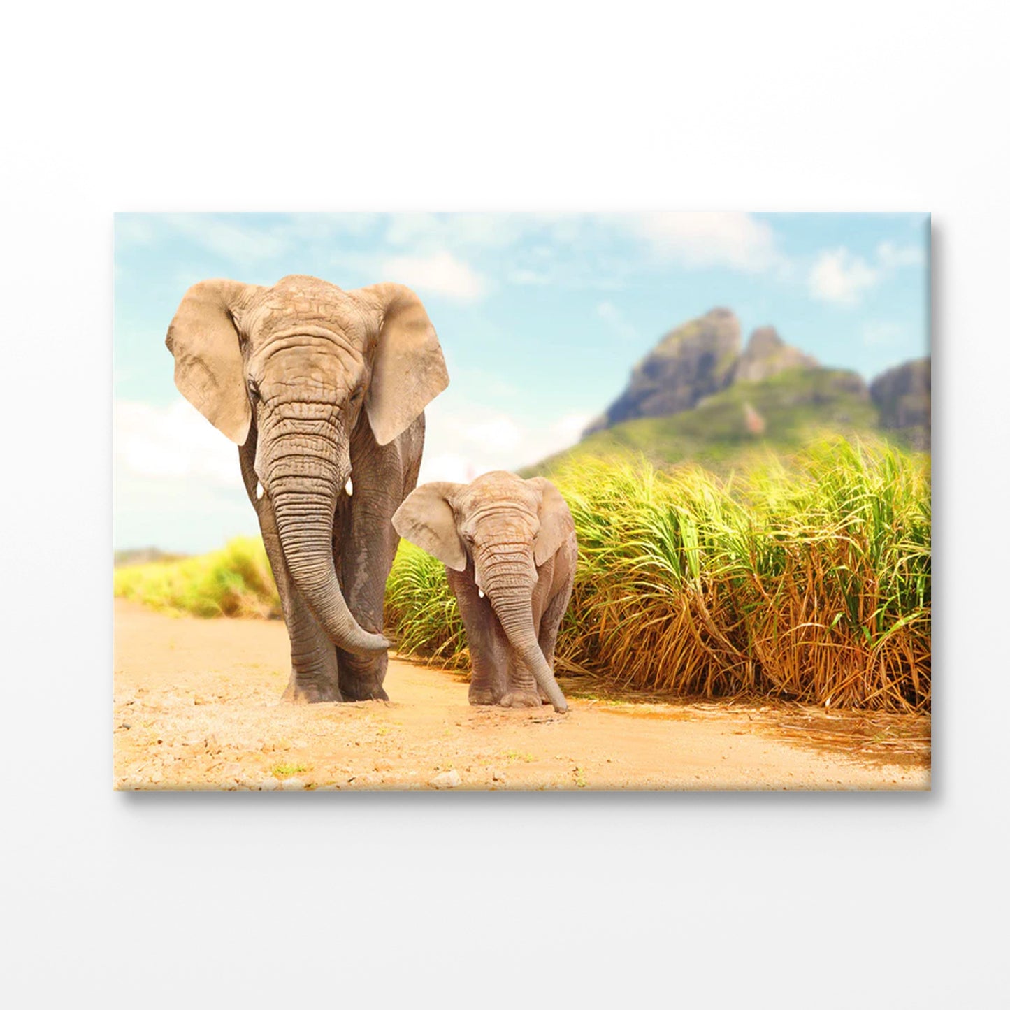 Bella Home Elephant & Calf Walking Together Print Canvas Ready to hang