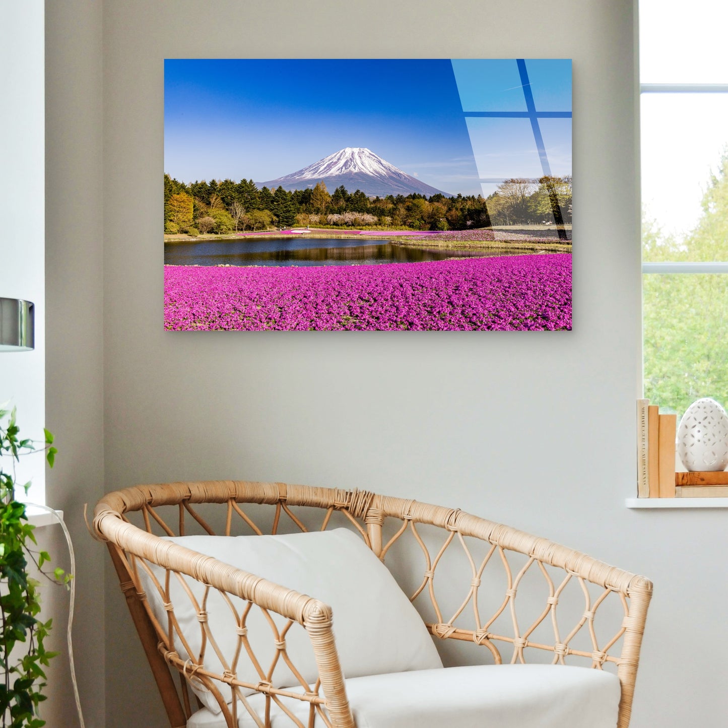 Mount Fuji Shibazakura Pink Flowers Acrylic Glass Printing Wall Art Australian Made Quality