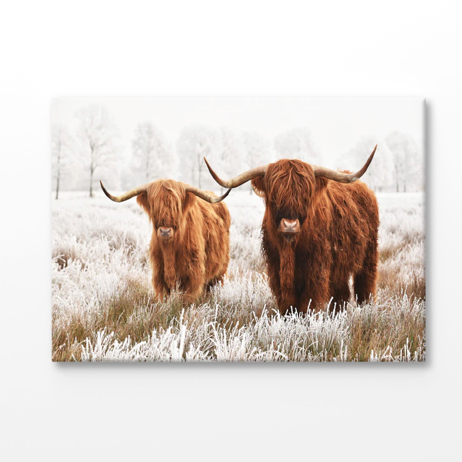 Bella Home Small & Big Highland Cow Print Canvas Ready to hang