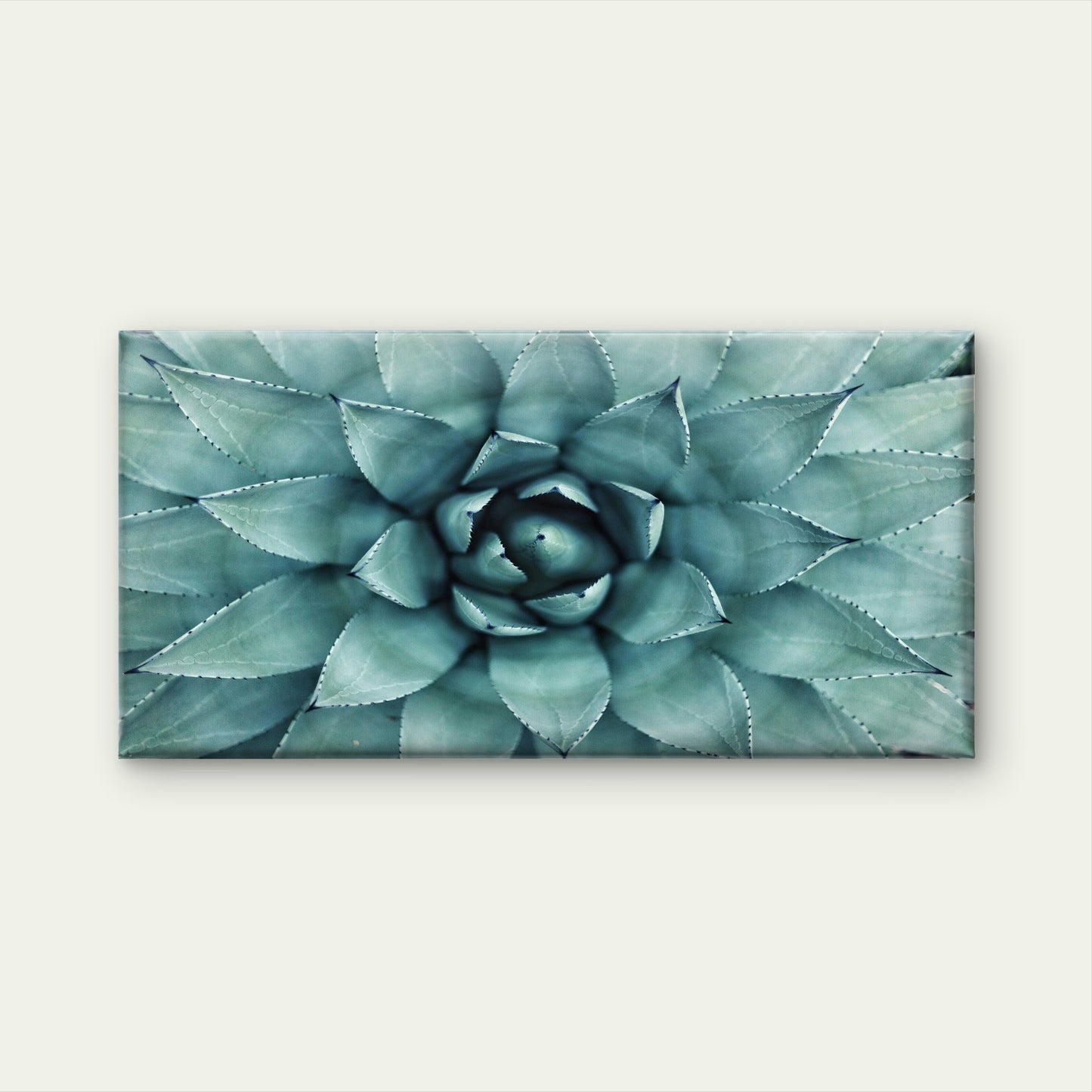 Beautiful Green Agave Plant Art Wall Art Canvas Office Home Room Framed 120x60cm