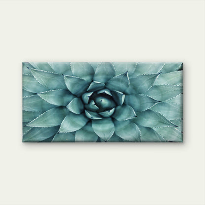 Beautiful Green Agave Plant Art Wall Art Canvas Office Home Room Framed 120x60cm
