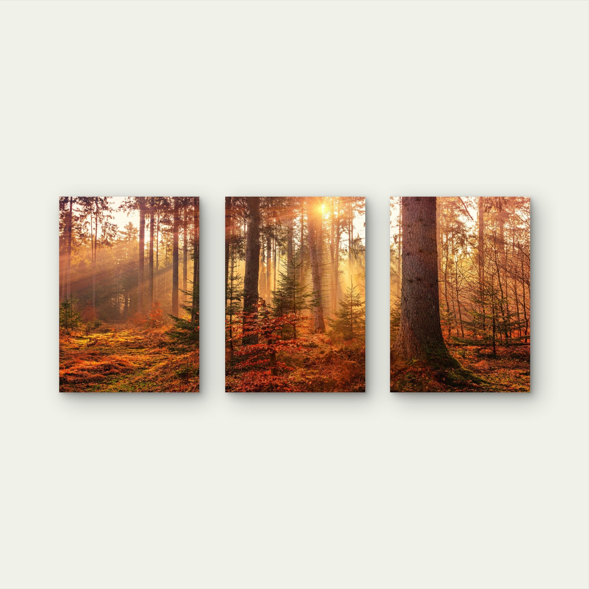 3pcs Autumn Forest Sunburst Orange Gold Tree Wall Art Set Canvas Framed 40x60cm - High Quality Print 100% Australian Made Wall Canvas Ready to Hang - Bella Home Decor