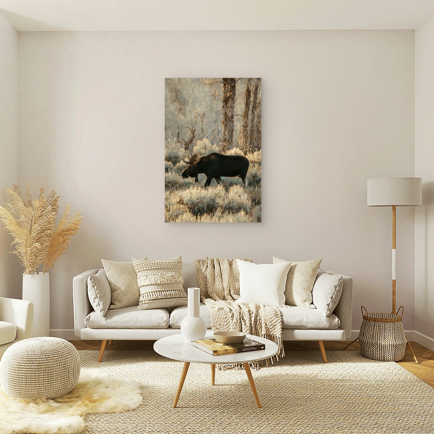 Moose Stand In A Field Of Dry Brush 40x60cm Metal Print Ready to Hang