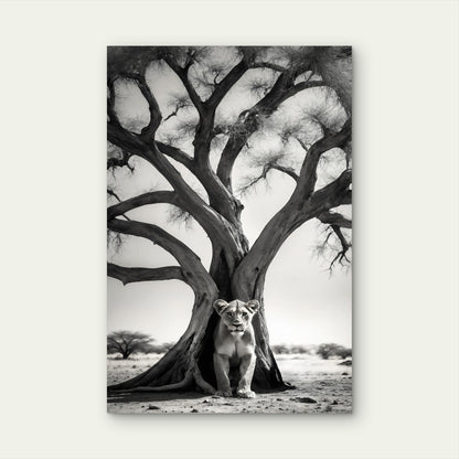 Monochrome Portrait Wild Lion Its Natural Habitat 40x60cm Metal Print Ready to Hang