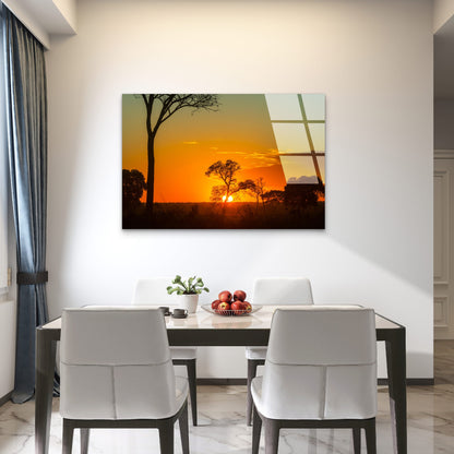 African Savanna Acacia Tree Glass Printing Wall Art Australian Made Quality