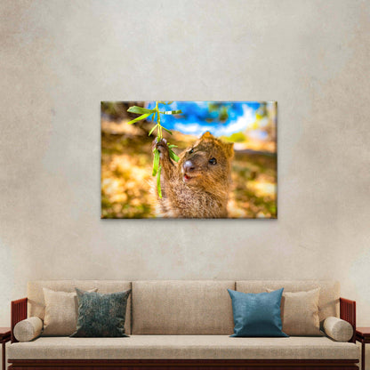 Quokka Rottnest Island Perth Western Australia Wall Art Decor 100% Australian Made