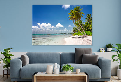 Tropical Beach with Palm Trees  Wall Art Decor 100% Australian Made