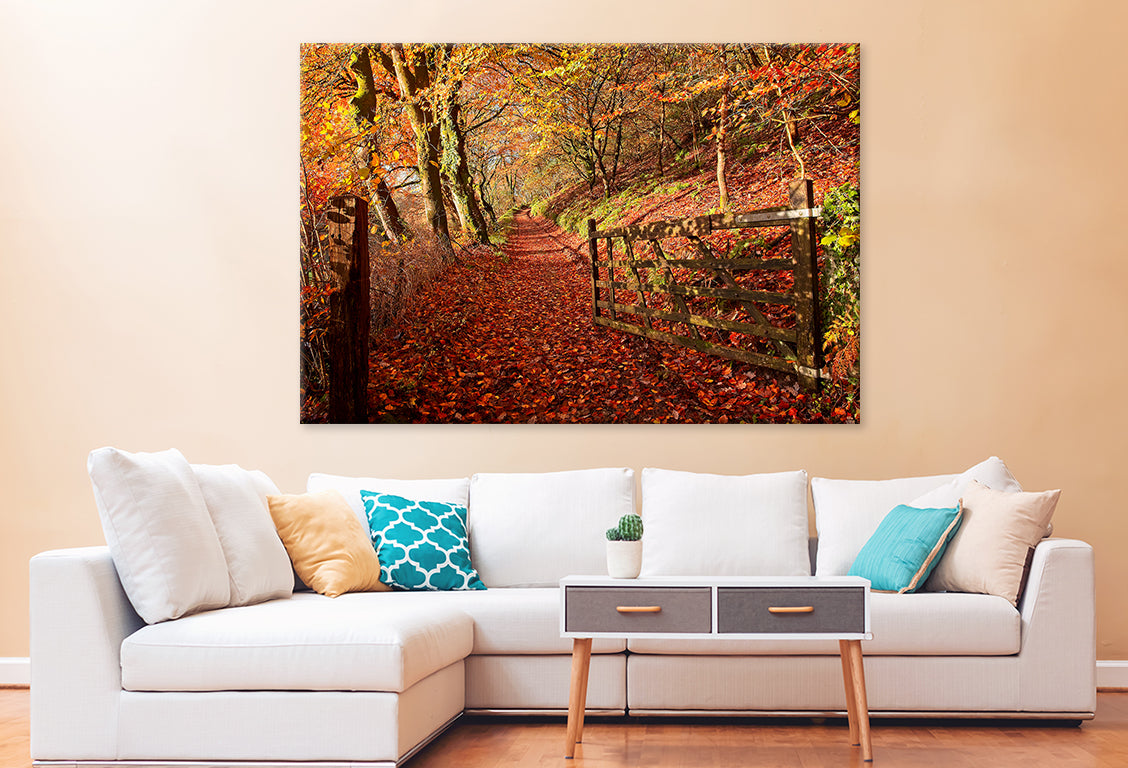 Autumn Hues in Gwaun Valley Wales Wall Art Decor 100% Australian Made