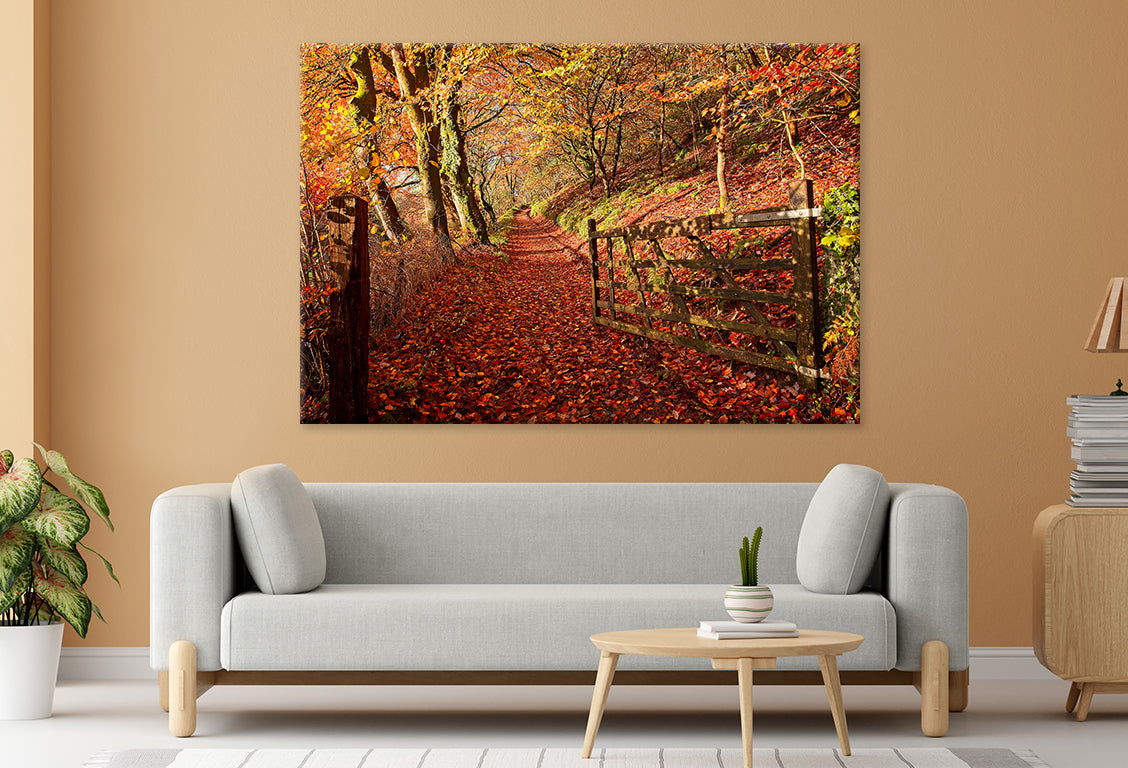 Autumn Hues in Gwaun Valley Wales Wall Art Decor 100% Australian Made