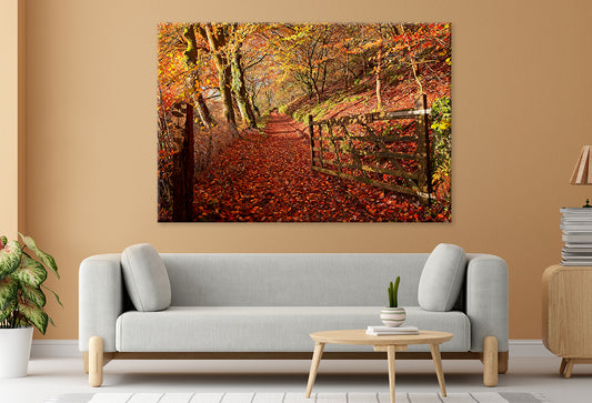 Autumn Hues in Gwaun Valley Wales Wall Art Decor 100% Australian Made