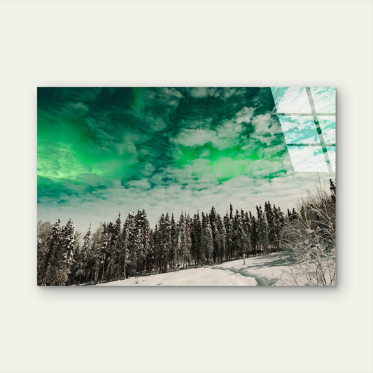 Snowy Pine Landscape Tempered Glass Printing Wall Art Australian Made Quality