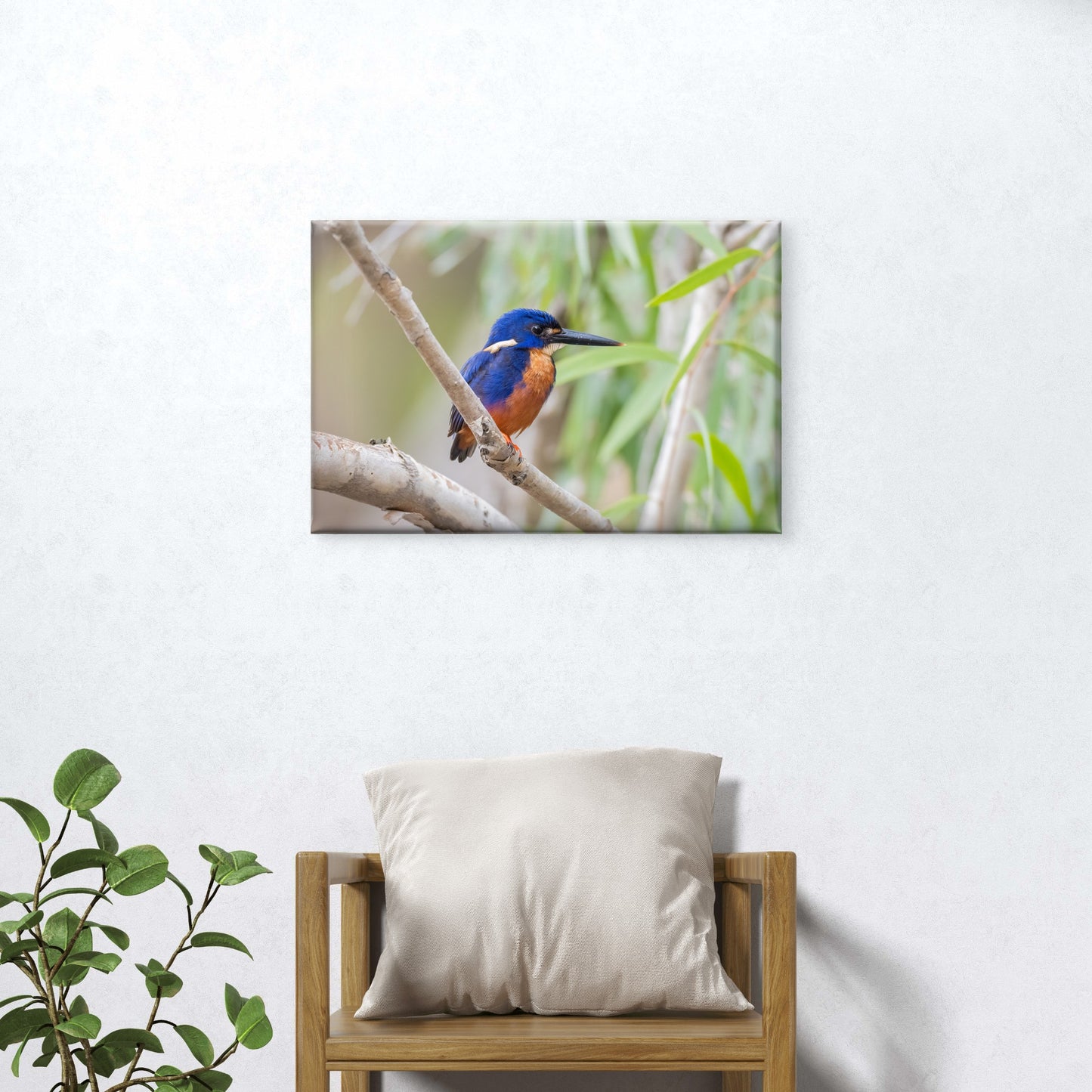 Azure Kingfisher Billabong Wall Art Decor 100% Australian Made