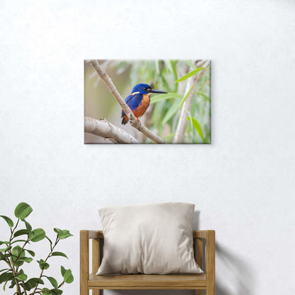 Azure Kingfisher Billabong Wall Art Decor 100% Australian Made