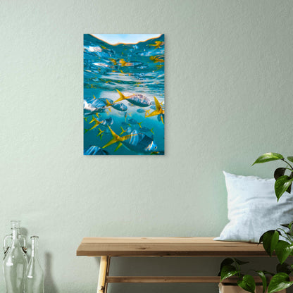 School of Yellowtail Fusilier Fish 40x60cm Metal Print Ready to Hang