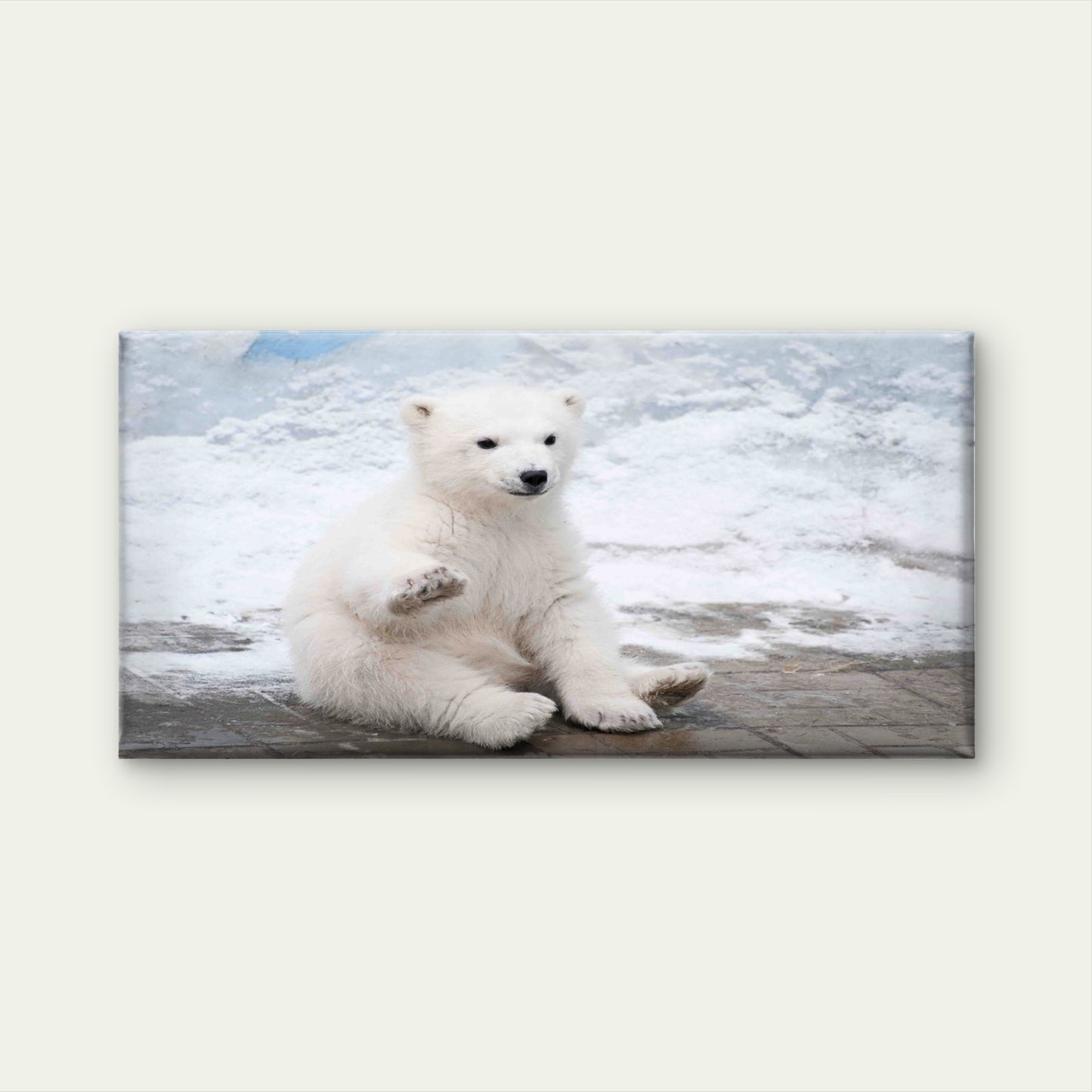 Fluffy Arctic Wildlife Wall Art Canvas Office Home Room Framed 120x60cm