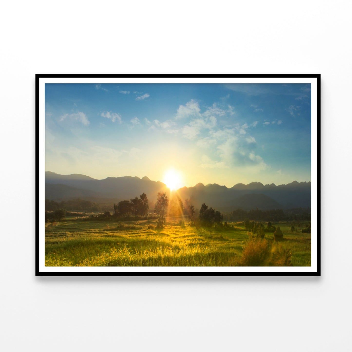 Sunset, Blossoming Meadow Home Decor Premium Quality Poster Print Choose Your Sizes