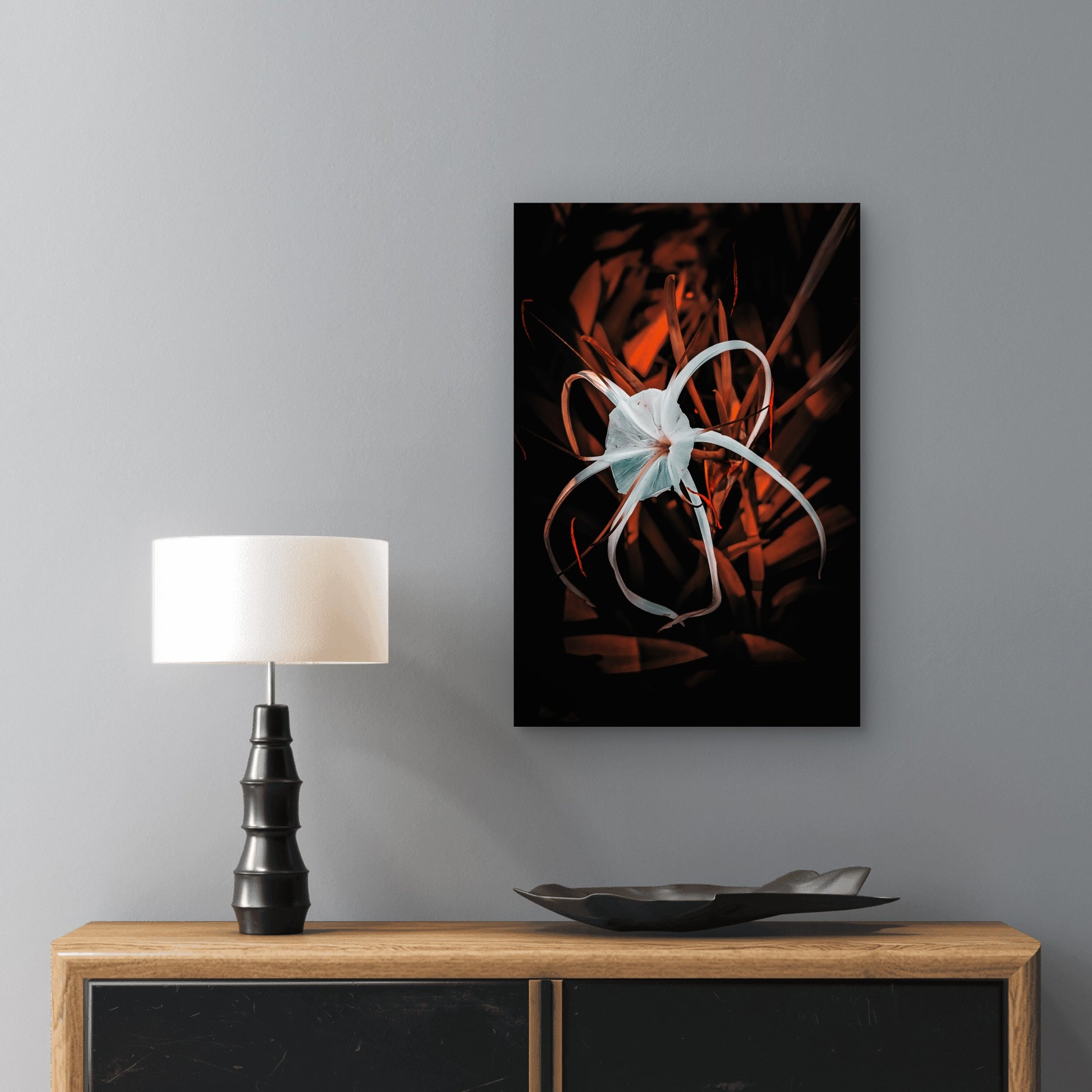 White Spider Lily Dark Nature 60x90cm Metal Print Ready to Hang - Bella Home Decor