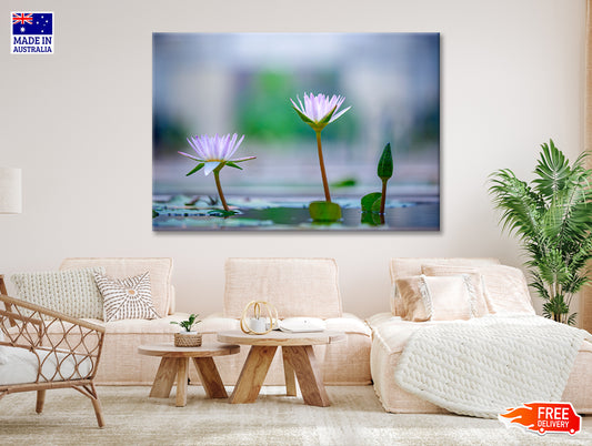 Lotus with Yellow Pollen on Blue Surface of Pond Print 100% Australian Made
