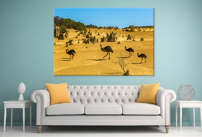 The Pinnacles Desert Western Australia Emus Wall Art Decor 100% Australian Made
