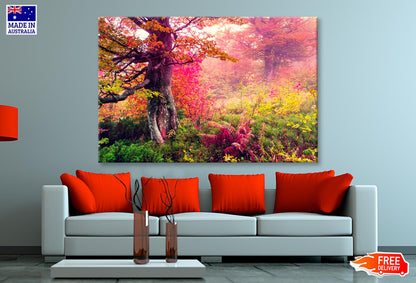 Majestic Landscape with Autumn Trees in Forest  Wall Art Decor 100% Australian Made - Bella Home Decor