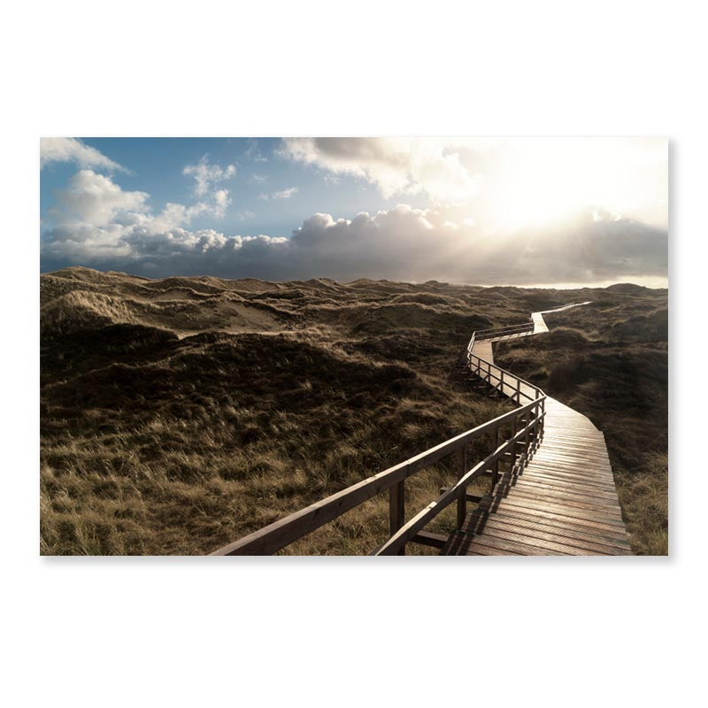 Dunes On the North Frisian Island Amram in Germany Acrylic Glass Print Tempered Glass Wall Art 100% Made in Australia Ready to Hang - Bella Home Decor
