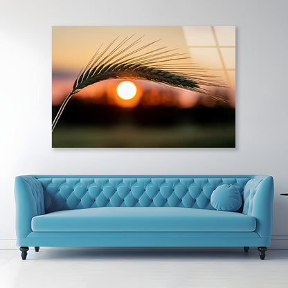 Barley Ear On a Background of a Disk of The Setting Sun Acrylic Glass Print Tempered Glass Wall Art 100% Made in Australia Ready to Hang - Bella Home Decor