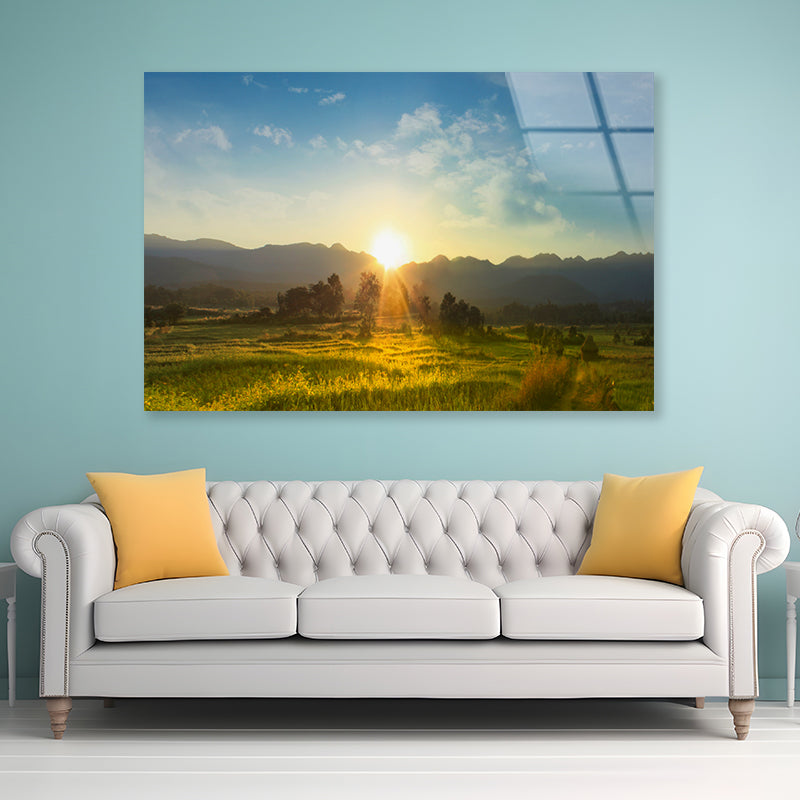 Sunset, Blossoming Meadow Acrylic Glass Print Tempered Glass Wall Art 100% Made in Australia Ready to Hang - Bella Home Decor