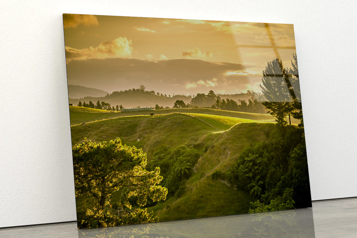 Grassy Hill and Trees with Sky Acrylic Glass Print Tempered Glass Wall Art 100% Made in Australia Ready to Hang - Bella Home Decor
